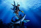 Weta Workshop revela estatueta de Lara Croft baseada em Tomb Raider: Underworld
